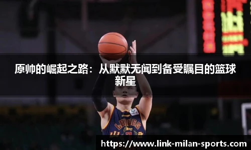官网入口