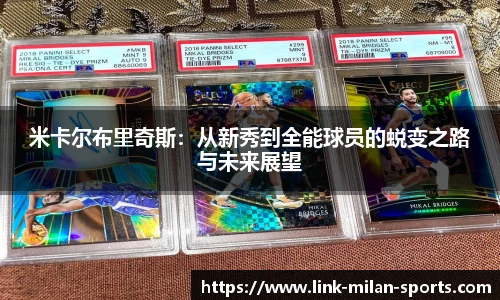 米兰体育